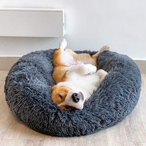 Queta Cama para Perro Gatos Mascotas, Talla S Anti-Humedad Antideslizante 55 * 45 * 20cm (Oscuro)