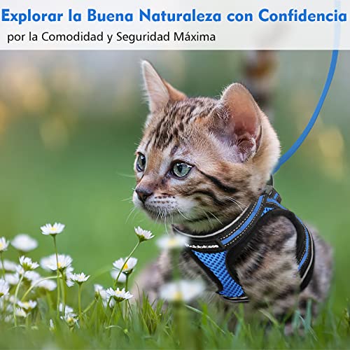 rabbitgoo Arnes Gatos y Correa 150cm Chaleco Ajustable Antitirones Reflectante Cómodo Correa Mágica para Fácil de Poner y Quitar para Paseo Diario Arnes para Perro Pequeño Conejos Gatos S Azul