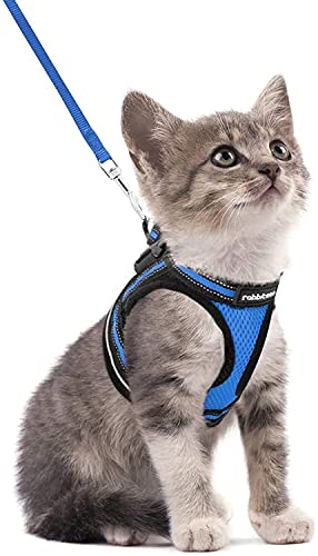 rabbitgoo Arnes Gatos y Correa 150cm Chaleco Ajustable Antitirones Reflectante Cómodo Correa Mágica para Fácil de Poner y Quitar para Paseo Diario Arnes para Perro Pequeño Conejos Gatos S Azul