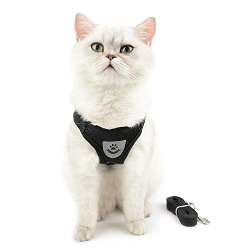 Ranphy Conjunto de arnés y Correa para Gatos, Chaleco Ajustable a Prueba de Escape, sin tirones, Reflectante, Transpirable, arnés de Malla Suave, Acolchado para niño, niña, Cachorro, Gatito