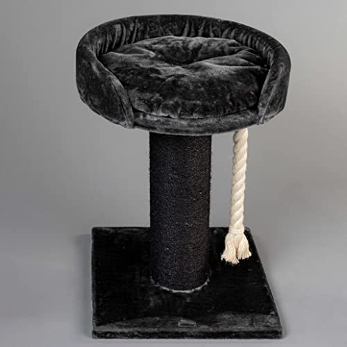 Rascador para grandes felinos Chartreux Blackline Árbol gris oscuro xxl maine coon gato adulto sisal gigante muebles sofá trepador de casa trepador de casa