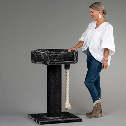 Rascador para grandes felinos Chartreux Blackline Árbol gris oscuro xxl maine coon gato adulto sisal gigante muebles sofá trepador de casa trepador de casa