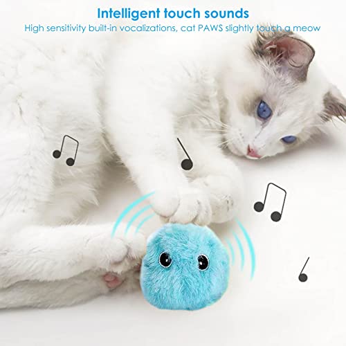 Raspbery Peluches para Gatos, Pelota de Juguete interactiva con Sonido chirriante, Pelota de Hierba gatera incorporada, Juguetes para Gatitos para Ejercicio Interactivo en Interiores