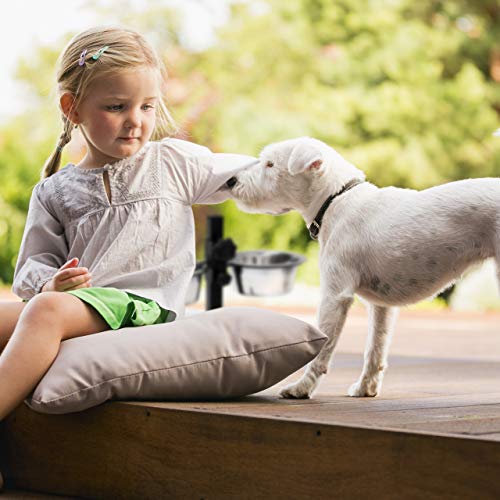 Relaxdays 10019116_397 - Comedero Doble para Perros y Gatos, Plateado, 21.5x36x27 cm