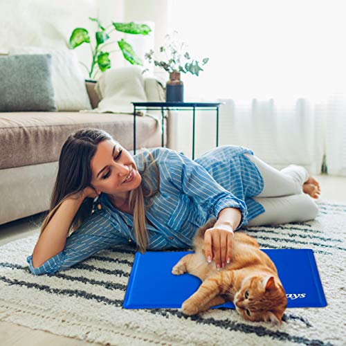 Relaxdays Alfombra Perro Refrescante, Cama Refrigeración, Manta Fría, Gato, Poliéster-Gel, 1 Ud, 40 x 50 cm, Azul