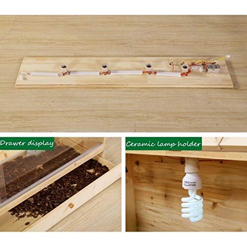 Reptil como mascota Vivarium casa casera, reloj de Crianza cisterna reptil anfibio jaula lagarto tortuga serpiente caja de cristal caja de gato perro casa del animal doméstico ( Size : 60*40*40CM )