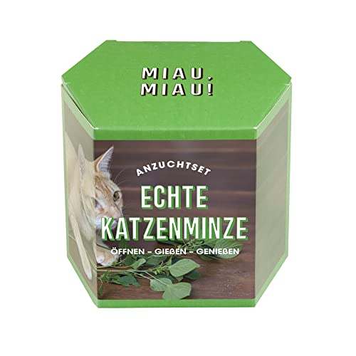 Resetea Set de iluminación: Menta para Gatos, Miau, Miau