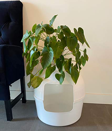 RHRQuality Inodoro para gatos Flower XXL blanco con tapa 51 Ø x 55 cm