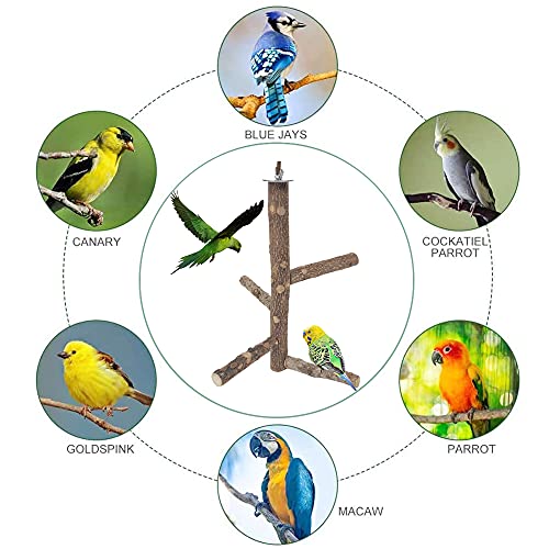 Rkllejs Soporte para Loros, Perca de Pájaro, Pájaro de Madera Natural para Loros, Perca para Pájaros, Perca de Loro Madera, para Jaula de Pájaros, Periquito, Canario, Cacatúa, Periquito