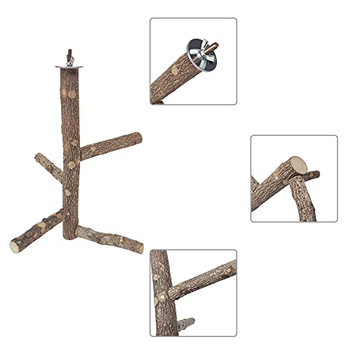 Rkllejs Soporte para Loros, Perca de Pájaro, Pájaro de Madera Natural para Loros, Perca para Pájaros, Perca de Loro Madera, para Jaula de Pájaros, Periquito, Canario, Cacatúa, Periquito