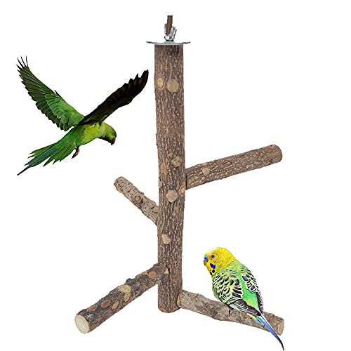 Rkllejs Soporte para Loros, Perca de Pájaro, Pájaro de Madera Natural para Loros, Perca para Pájaros, Perca de Loro Madera, para Jaula de Pájaros, Periquito, Canario, Cacatúa, Periquito