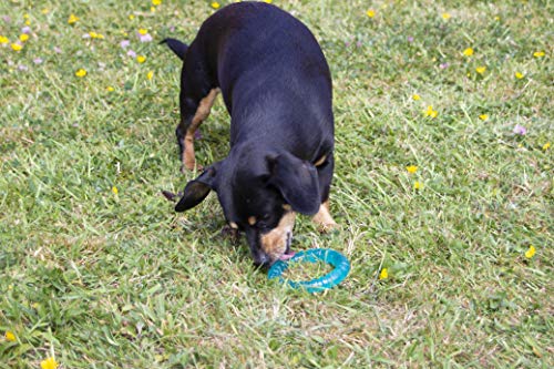 Rosewood Biosafe Cachorro,