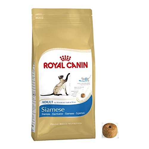 ROYAL CANIN Alimentos para gatos siameses para gatos secos y equilibrados para gatos (4 kg)