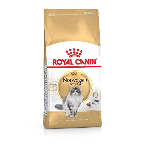 Royal CANIN | Árbol de Bosque gato Adult, 400 g