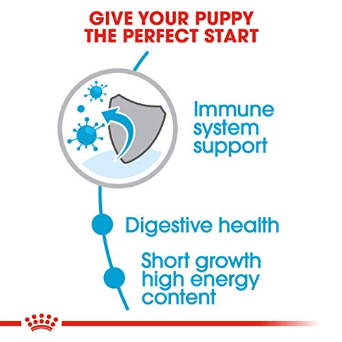 Royal Canin C-08386 S.N. Medium Junior - 4 Kg