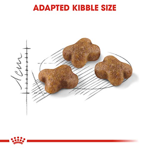 Royal Canin C-58430 Gato - 400 gr