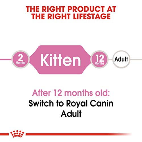 Royal Canin C-58430 Gato - 400 gr