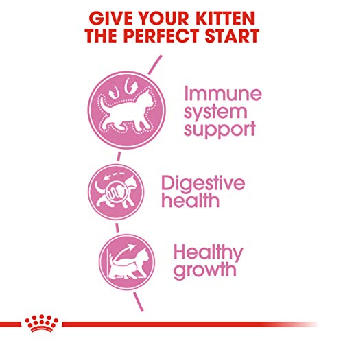 Royal Canin C-58430 Gato - 400 gr