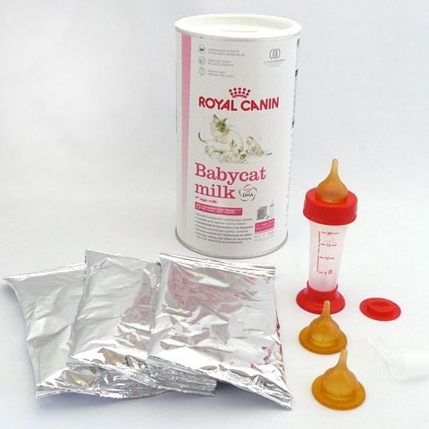 Royal Canin - Comedero y botella de leche para gatos, 300 g