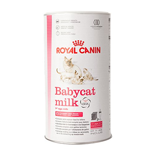 Royal Canin - Comedero y botella de leche para gatos, 300 g