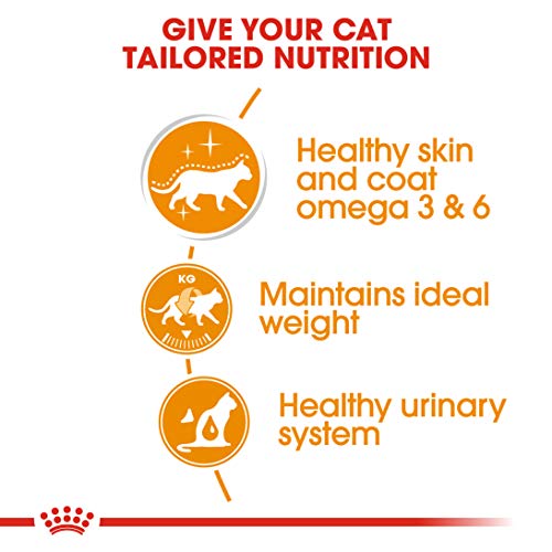 Royal Canin Comida para gatos Intense Beauty