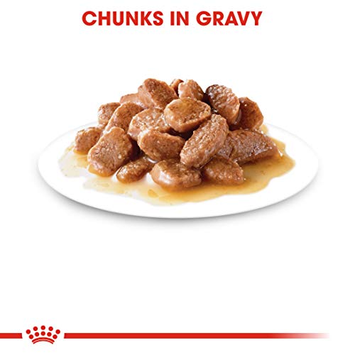 Royal Canin Comida para gatos Intense Beauty