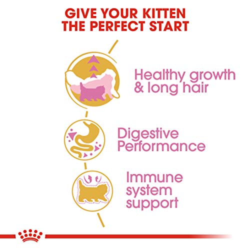 ROYAL CANIN Feline Kitten Persa 32-400 gr
