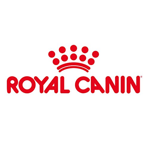 Royal Canin Intense Beauty - Bolsas para Comida de Gato – 85 g”