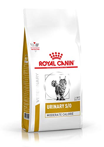 ROYAL CANIN Seca Para Gatos Gr Moderada Urinaria. 400