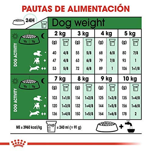 RoyalCanin Mini Adult 4kg. Comida para Perros de Razas Pequeñas y Toys | Pienso Gastrointestinal con Gran Sabor Que Controla el Peso, Elimina el Sarro Dental y Mantiene el Pelo y la Piel Saludables