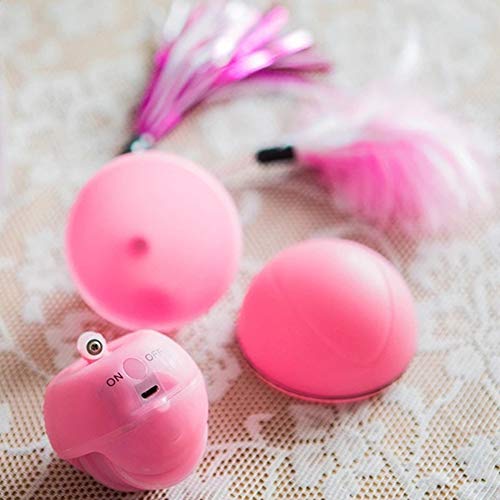 Rysmliuhan Shop Juguete Gato pez Interactivo Gato Juguetes Gatito Catch me Perro de Juguete Gato Juguetes Juguetes De Gatito para Gatos de Interior Juguete de Gato Red