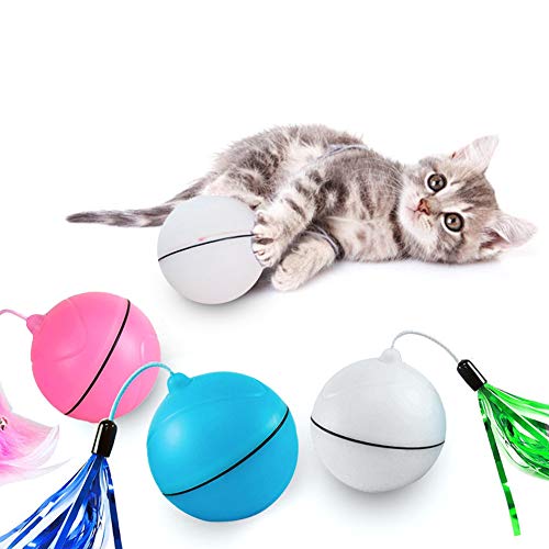Rysmliuhan Shop Juguete Gato pez Interactivo Gato Juguetes Gatito Catch me Perro de Juguete Gato Juguetes Juguetes De Gatito para Gatos de Interior Juguete de Gato Red