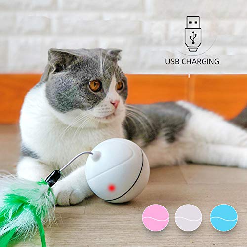 Rysmliuhan Shop Juguete Gato pez Interactivo Gato Juguetes Gatito Catch me Perro de Juguete Gato Juguetes Juguetes De Gatito para Gatos de Interior Juguete de Gato Red