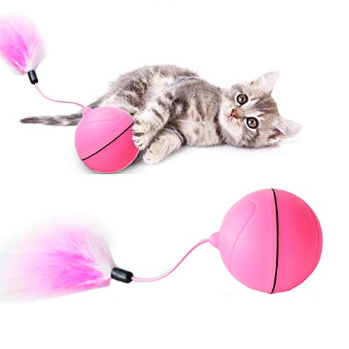 Rysmliuhan Shop Juguete Gato pez Interactivo Gato Juguetes Gatito Catch me Perro de Juguete Gato Juguetes Juguetes De Gatito para Gatos de Interior Juguete de Gato Red