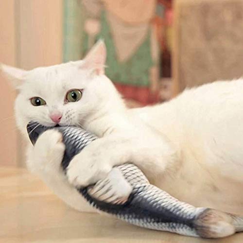 Rysmliuhan Shop pez Gato Juguete Juguete pez para Gato Cat nip Juguetes Gato Juguetes de Gato para Gatos de Interior interactivos grasscarp