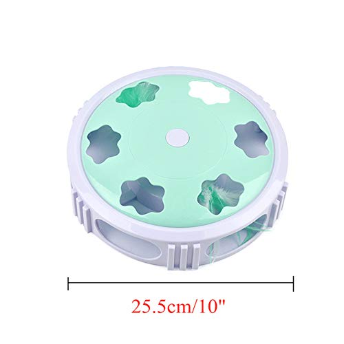 Rysmliuhan Shop pez Gato Juguete Juguetes para Gatos Juguetes Juguetes de Gato para Gatos de Interior Gatito Gato Juguetes Juguete de Gato Green
