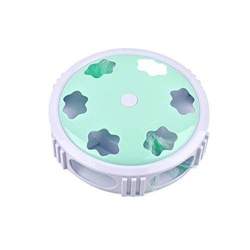 Rysmliuhan Shop pez Gato Juguete Juguetes para Gatos Juguetes Juguetes de Gato para Gatos de Interior Gatito Gato Juguetes Juguete de Gato Green
