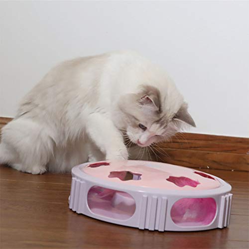 Rysmliuhan Shop pez Gato Juguete Juguetes para Gatos Juguetes Juguetes de Gato para Gatos de Interior Gatito Gato Juguetes Juguete de Gato Green