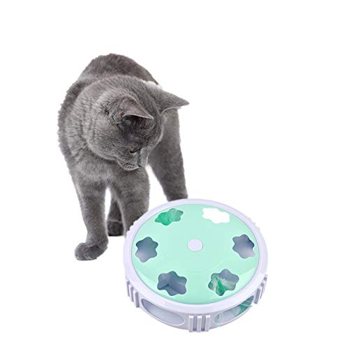 Rysmliuhan Shop pez Gato Juguete Juguetes para Gatos Juguetes Juguetes de Gato para Gatos de Interior Gatito Gato Juguetes Juguete de Gato Green