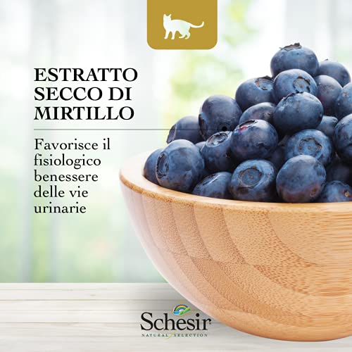 Schesir, Pienso Completo Y Equilibrado para Gatitos, Línea Natural Selection con Alto Contenido En Ánade, Croquetas - Formato Bolsa De 1,4 Kg