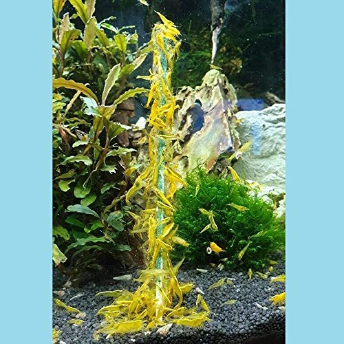 Schmitt Aquaristik Shrimp-Lollies Super-Mix - Líquido para acuario (10 x 1 lágrimas = 10 unidades)