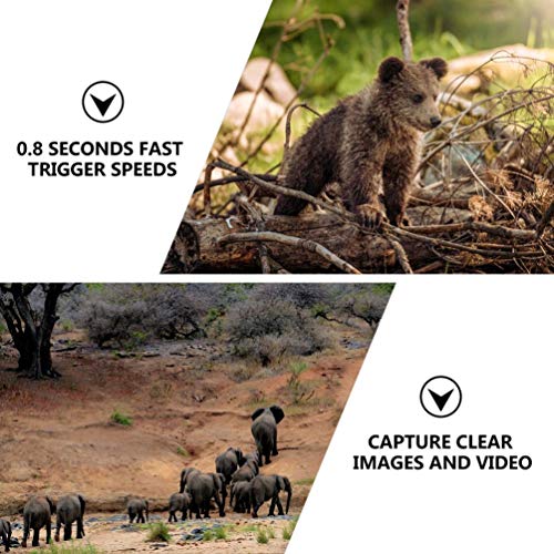 Scicalife Cámara de Senderismo Juego Cámara de Visión Nocturna Caza Cámara de Monitoreo de Vida Silvestre Cámara de Exploración para Vigilancia del Hogar Al Aire Libre