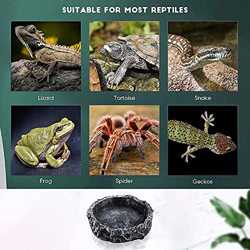 SDFAA 2 Piezas Comedero para Reptiles, Cuenco de Comida de Roca, Alimentador de Reptiles, Alimentador de Lagartos, Plato de Resina Duradero Alimentador de Lagarto para Tortuga Lagarto Camaleón Gecko