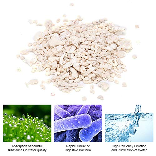 Semiter 【Venta del día de la Madre】 Pecera de Arena de Hueso de Coral, Arena de Hueso de Coral útil para pecera de Acuario