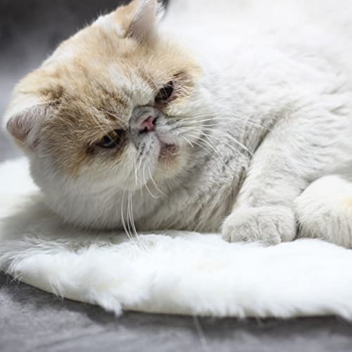 Shanrya Manta Eléctrica para Mascotas, Almohadilla Térmica Segura para Perros, Temperatura Constante, Multiusos para Gatos para Cachorros(Visón Blanco)