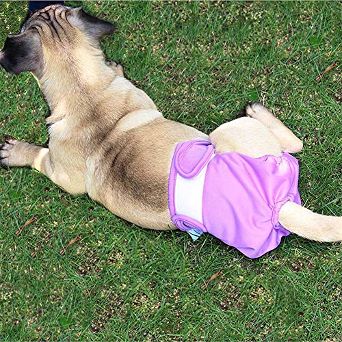shuxuanltd PañAles para Perros PañAles Perro PañAl para Perros PañAles Perro Hembra PañAles para Perros Hembra PañAles Perro Macho PañAles para Perros Macho 3pcs,XL