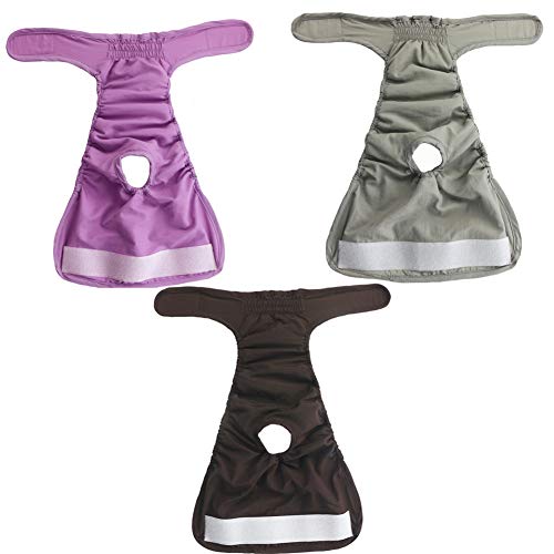 shuxuanltd PañAles para Perros PañAles Perro PañAl para Perros PañAles Perro Hembra PañAles para Perros Hembra PañAles Perro Macho PañAles para Perros Macho 3pcs,XL