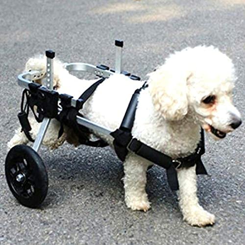 Silla de ruedas para perros Silla de ruedas para perros Animal Doctor Aprobado Silla de ruedas para patas traseras para mascotas/perros/gatos/silla de ruedas Rehabilitación de patas traseras para