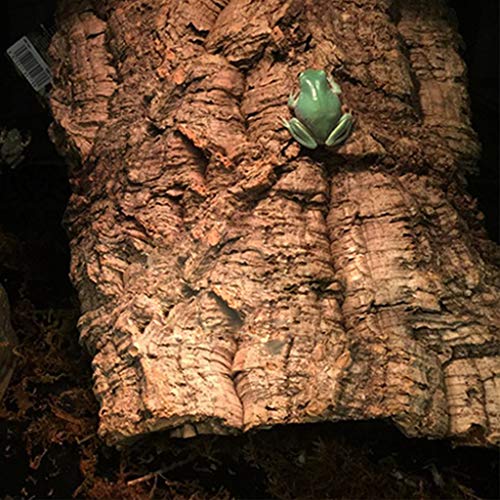 silverdiamond Reptil escalada corteza de corcho de madera natural hábitat lagarto araña Pet Hiding Place