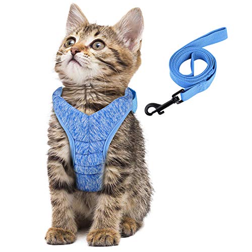Simpeak Arnés Gatos, Arnés para Gatos con Correa Antiescape, Ajustable Respirante Pequeña Chaleco para Cachorros, Azul, Medio